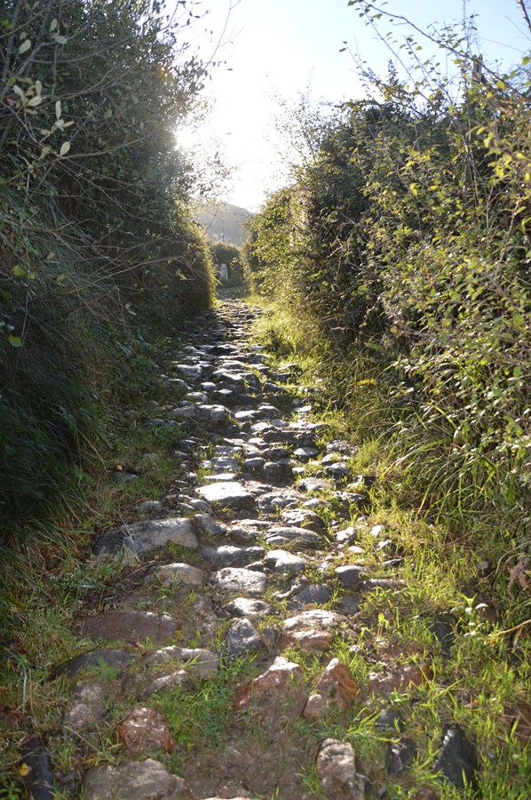 Camino de Santiago